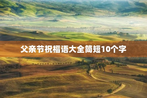 父亲节祝福语大全简短10个字