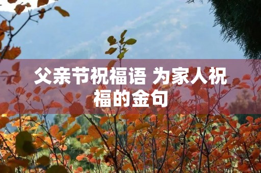 父亲节祝福语 为家人祝福的金句