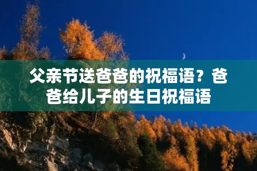 父亲节送爸爸的祝福语？爸爸给儿子的生日祝福语