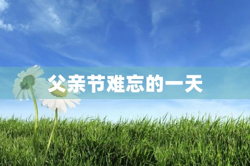 父亲节难忘的一天