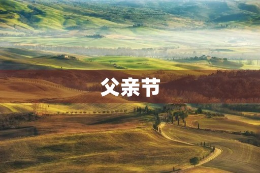 父亲节，感恩无声的爱
