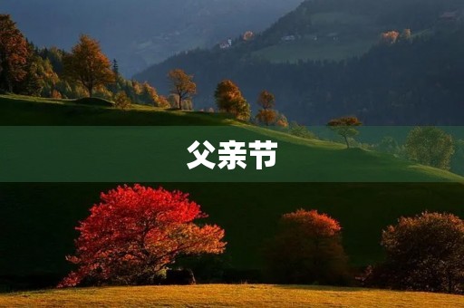 父亲节，我为你点赞