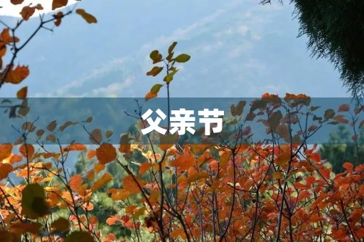 父亲节,我们的爸爸 父亲节,我们的爸爸