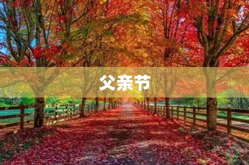 父亲节,我要为父亲做一件事 父亲节,我要为父亲做一件事