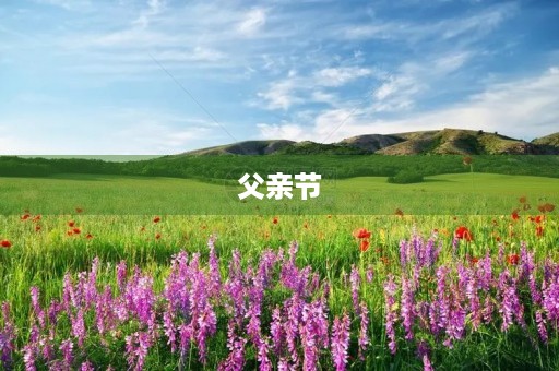 父亲节，致亲爱的爸爸
