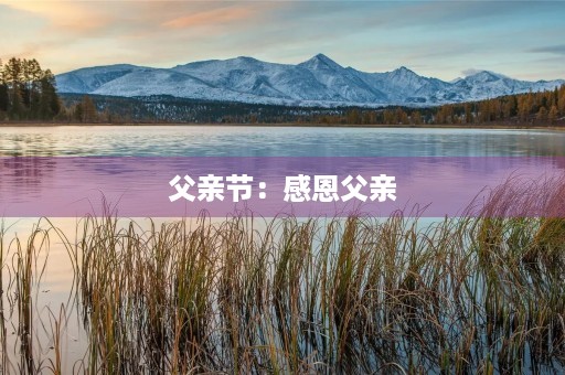 父亲节：感恩父亲，传承爱的力量