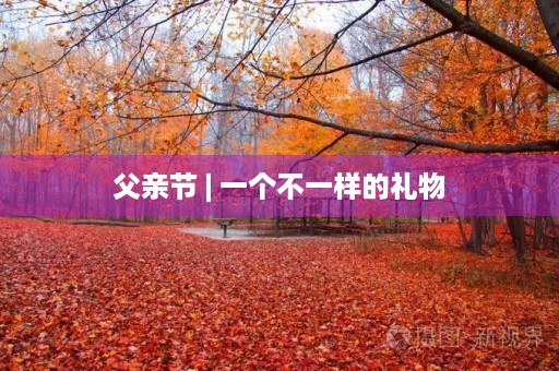 父亲节 | 一个不一样的礼物