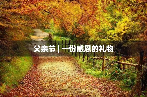父亲节 | 一份感恩的礼物 父亲节 | 一份感恩的礼物