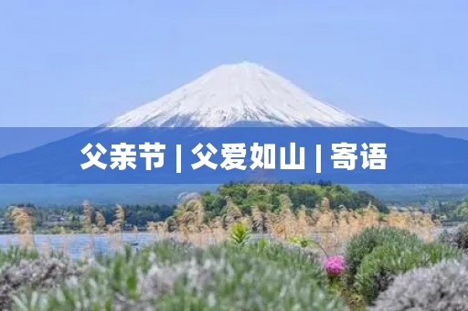 父亲节 | 父爱如山 | 寄语
