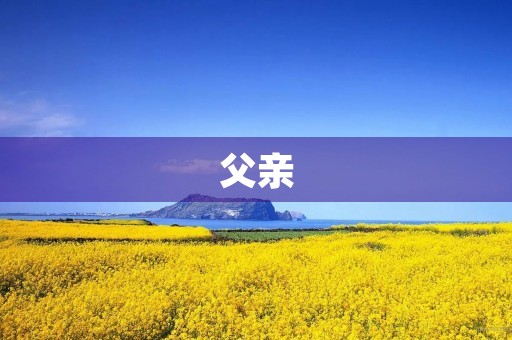 父亲，您辛苦了