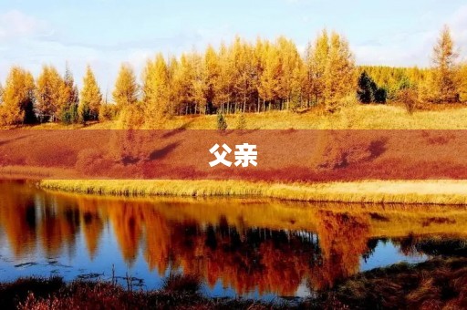 父亲,我想对你说 父亲,我想对你说
