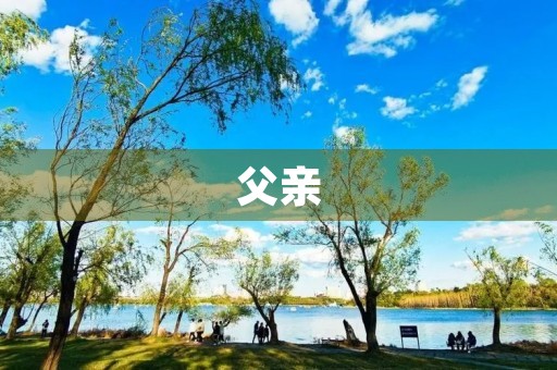 父亲，我爱您！