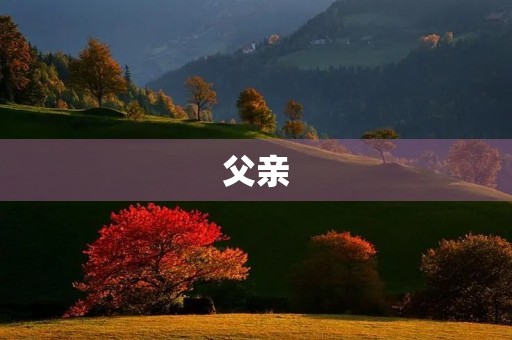 父亲,我的港湾 父亲,我的港湾