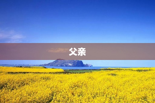 父亲,我的超级英雄 父亲,我的超级英雄
