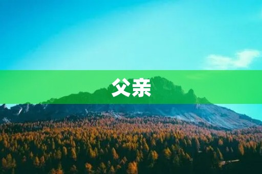 父亲，谢谢您