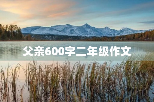 父亲600字二年级作文
