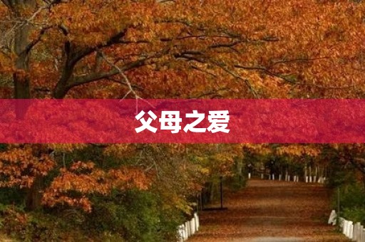 父母之爱，永不褪色
