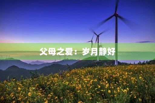 父母之爱:岁月静好,情深意浓 父母之爱:岁月静好,情深意浓
