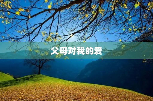 父母对我的爱