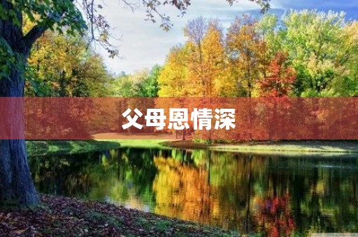 父母恩情深，父亲的爱更是无私奉献