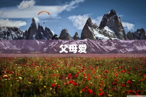 父母爱，永恒的温暖