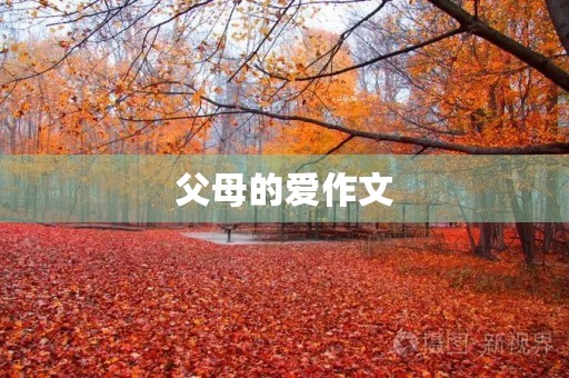 父母的爱作文 父母的爱作文