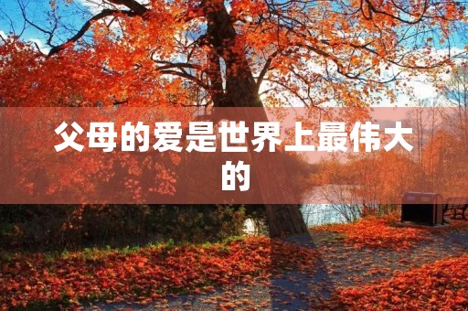 父母的爱是世界上最伟大的