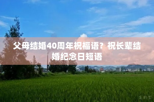 父母结婚40周年祝福语？祝长辈结婚纪念日短语