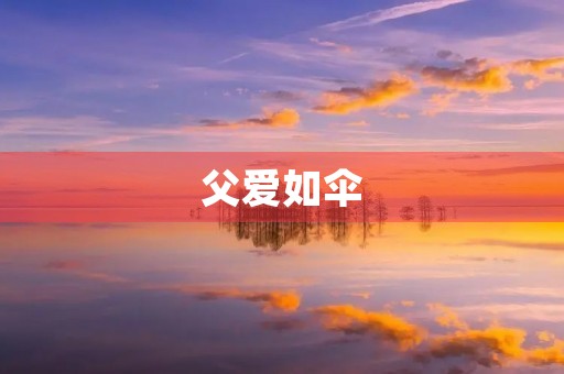 父爱如伞 父爱如伞