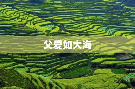 父爱如大海