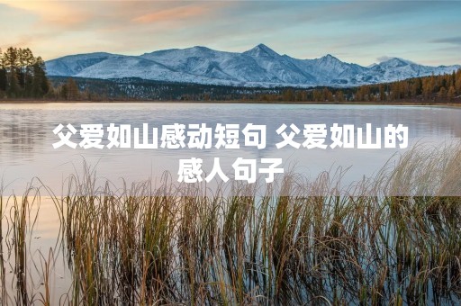 父爱如山感动短句 父爱如山的感人句子 父爱如山感动短句 父爱如山的感人句子