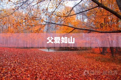 父爱如山,恩情无限 父爱如山,恩情无限