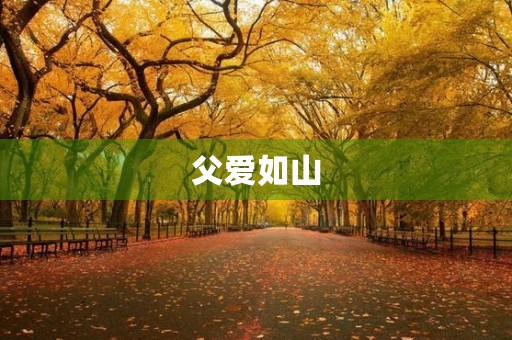 父爱如山，情深意长——纪念父亲节