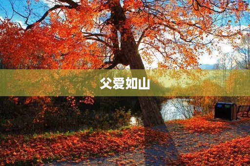 父爱如山，感恩有你——纪念父亲节