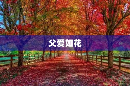 父爱如花,陪伴我成长 父爱如花,陪伴我成长