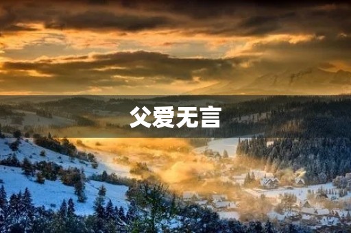 父爱无言，但心领神会——关于父爱的日语作文