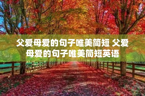 父爱母爱的句子唯美简短 父爱母爱的句子唯美简短英语 父爱母爱的句子唯美简短 父爱母爱的句子唯美简短英语