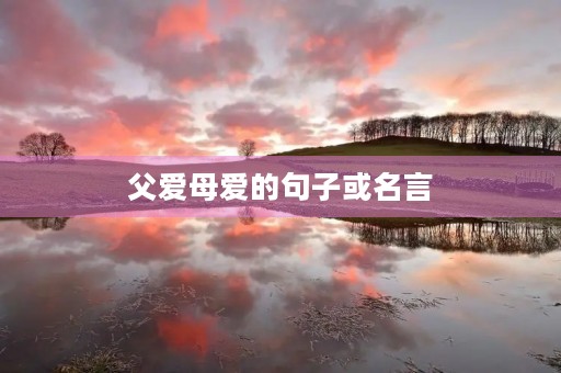 父爱母爱的句子或名言(父爱母爱的句子或名言古诗) 父爱母爱的句子或名言(父爱母爱的句子或名言古诗)