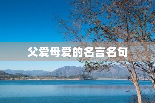 父爱母爱的名言名句,描写父爱母爱的名言名句 父爱母爱的名言名句,描写父爱母爱的名言名句