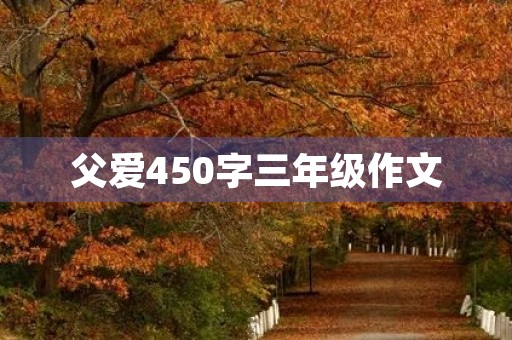 父爱450字三年级作文