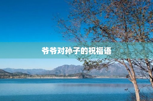 爷爷对孙子的祝福语(长辈给孙子祝福语大全)