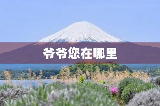 爷爷您在哪里