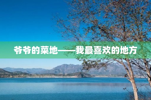 爷爷的菜地——我最喜欢的地方 爷爷的菜地——我最喜欢的地方
