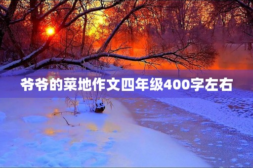 爷爷的菜地作文四年级400字左右 爷爷的菜地作文四年级400字左右