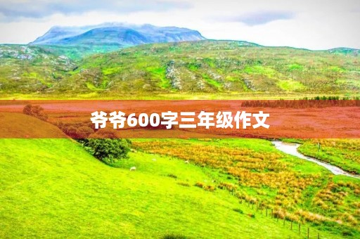 爷爷600字三年级作文