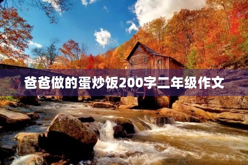 爸爸做的蛋炒饭200字二年级作文