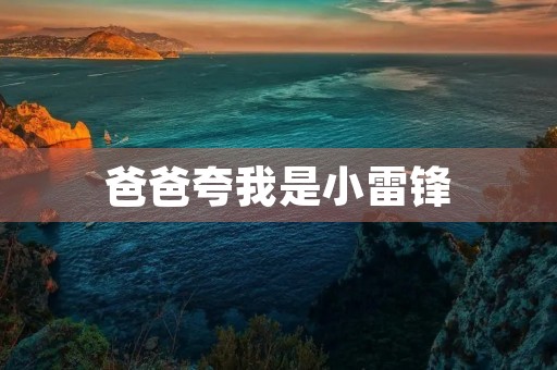 爸爸夸我是小雷锋