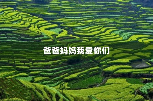 爸爸妈妈我爱你们 爸爸妈妈我爱你们