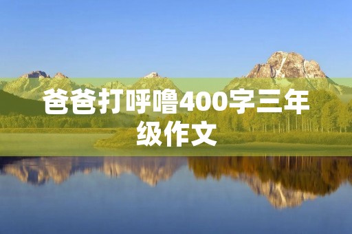 爸爸打呼噜400字三年级作文