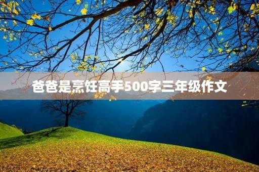 爸爸是烹饪高手500字三年级作文